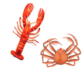 Homards et Crabes 2026 - 5 juin 2026