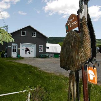 Visite à Charlevoix - mardi 16 juin 2026